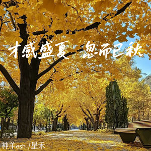 神羊esh&星禾《才感盛夏 忽而已秋》[MP3_LRC]