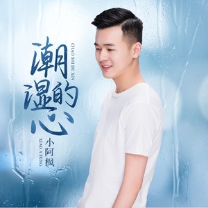 小阿枫《潮湿的心》