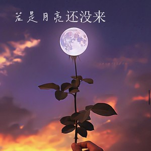 曼波 - 若月亮没来