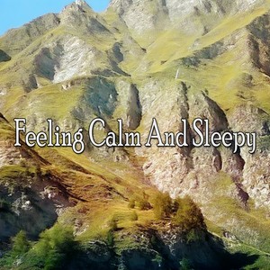 Mother Nature Sound FX《The Dawn Chorus Of Binaural Beats》