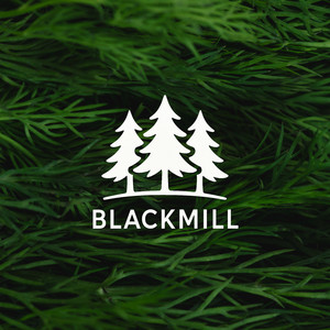 Blackmill《Breathing in the Dawn》