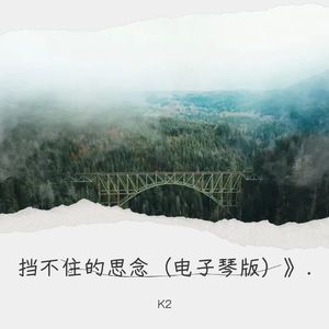 SARA《挡不住的思念（电子琴版）》.》