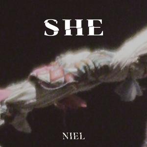 Niel-SHE.DTS(无损音乐)flac