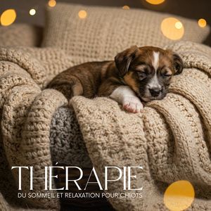 Relaxation Mentale&Pet Music Academy&Zone de la Musique Relaxante《Mélodie sereine》