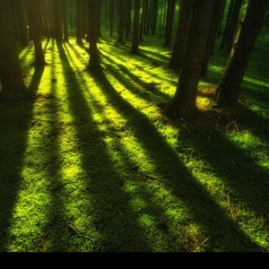 Paul S《Sweeping Shadows》