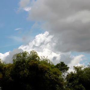 Aura Wisely《Your Presence Brings Light》