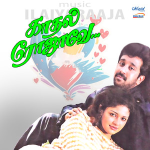 Ilaiyaraaja&Vaali&Muthulingam&Vaasan&Bhavatharini《Sirithale》[MP3_LRC]