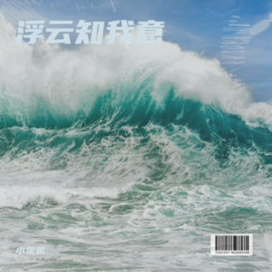 小星星《浮云知我意》