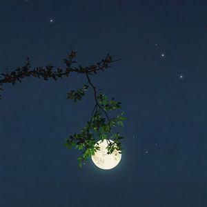 音符回收站《Loveeeeeee(沉浸House氛围)》