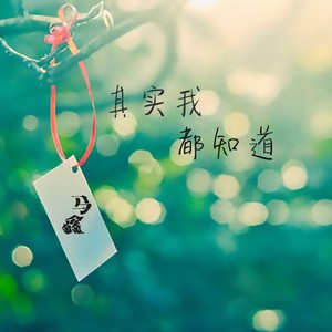 马鑫《其实我都知道》