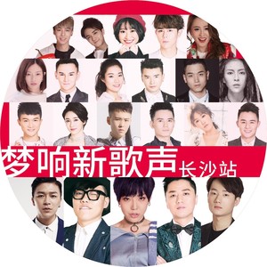 李代沫《会痛的石头》
