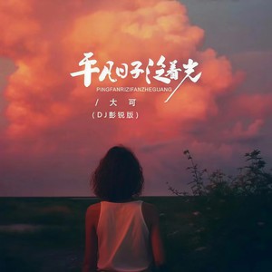 大可《平凡日子泛着光》