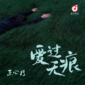 王心乃《爱过无痕》
