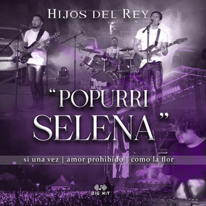 Hijos Del Rey《PopurrI de Selena : SI UNA VEZ | AMOR PROHIBIDO | COMO LA FLOR》