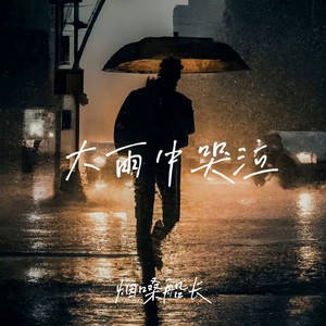 烟嗓船长《大雨中哭泣》