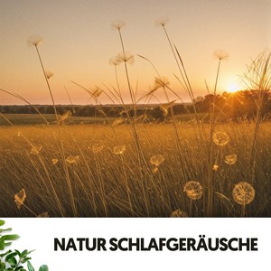 Dog Relaxation&Sleep Songs with Nature Sounds&La nature《Hymne au hamac oscillant》