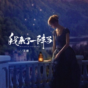 王娜《我来了一阵子(伴奏)》[MP3_LRC]