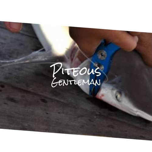 Piteous Gentleman