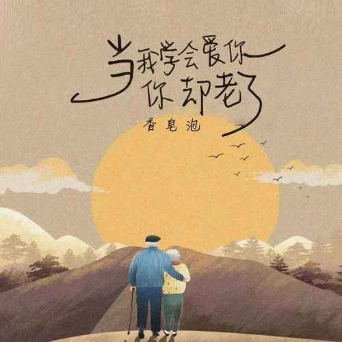 当我学会爱你，你却老了