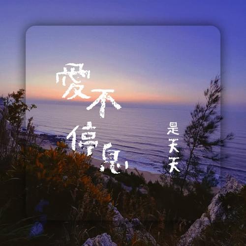 爱不停息 - 是天天