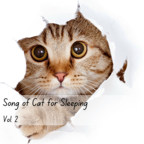 Song of Cat for Sleeping Vol. 2