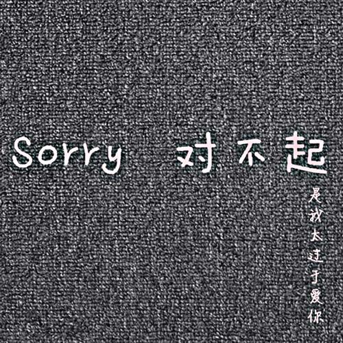 sorry 对不起(djgary龙少mix)