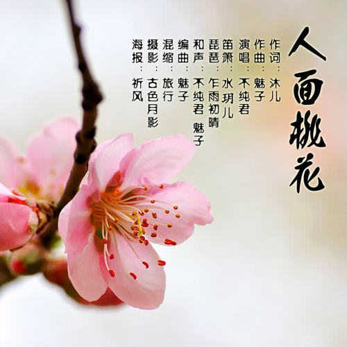 人面桃花 - 不纯君