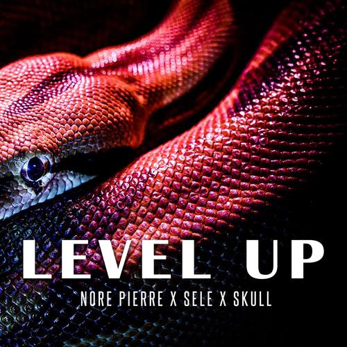 Level Up (feat. Sele & skull) [Explicit]