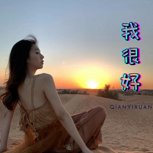 我的卫衣(抖音版)