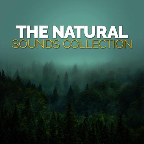 The Natural Sounds Collection