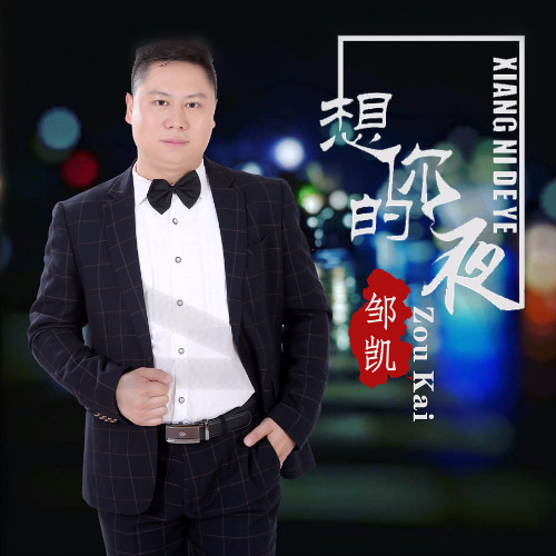 想你的夜_邹凯_单曲在线试听_酷我音乐