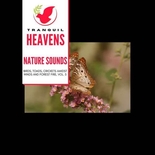 Nature Sounds - Birds, Toads, Crickets amidst Winds and Forest Fire, Vol. 5