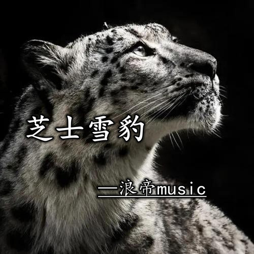 芝士雪豹(语录版) - 浪帝