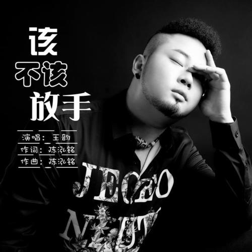 该不该放手 - 王韵