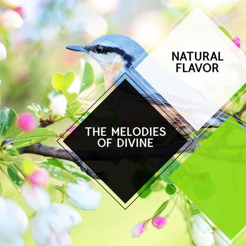 The Melodies of Divine - Natural Flavor