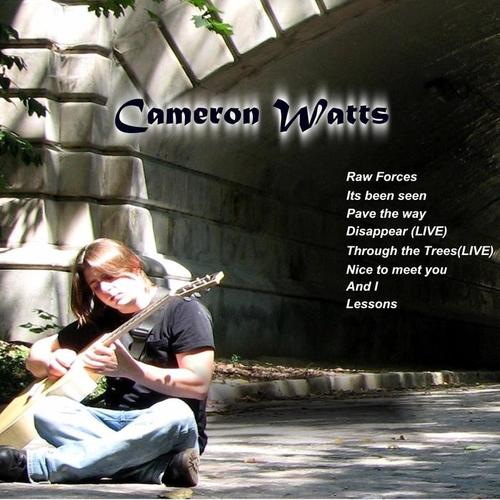 influenced sound, with a stripped-down bare-bones rock-and-roll