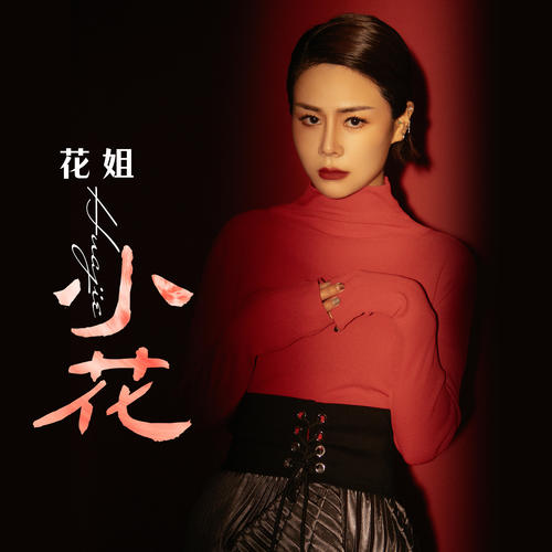 花姐-小花.flac 下载插图