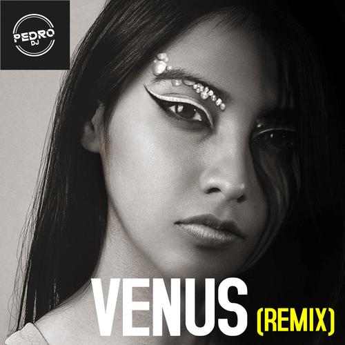 Venus (Remix) [Explicit]