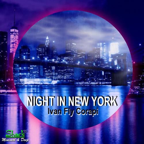 Night in New York