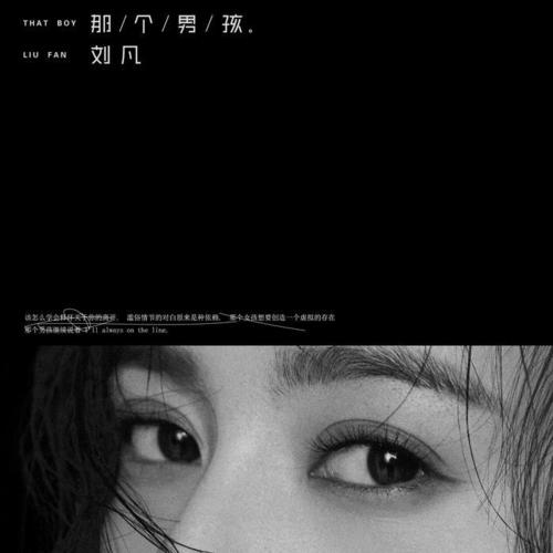 那个男孩 - 刘凡