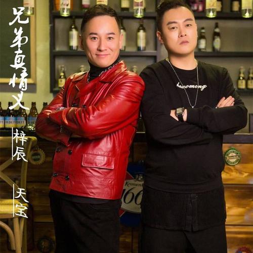 兄弟真情义_梓辰&天宝_单曲在线试听_酷我音乐