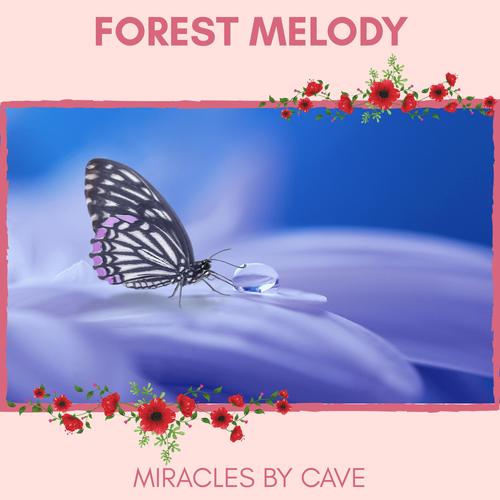 Forest Melody - Miracles by Cave