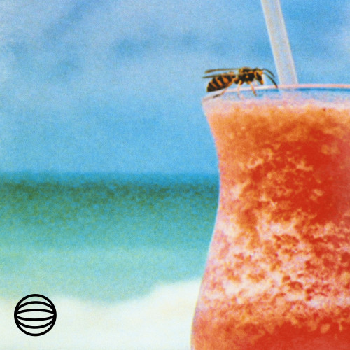 ONIONWAVE Summer Anthems