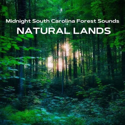 Midnight South Carolina Forest Sounds - Natural Lands
