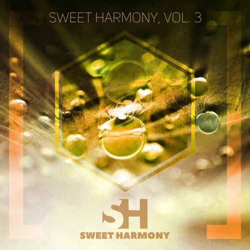 Smart Harmony, Vol. 3
