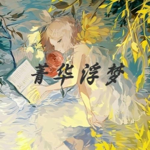 菁华浮梦 - 莫失莫忘