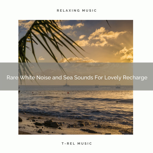 Rare White Noise and Sea Sounds For Lovely Recharge