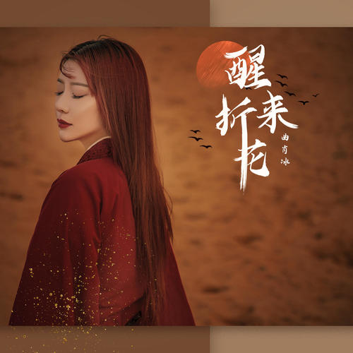 曲肖冰-醒来折花.flac 下载插图
