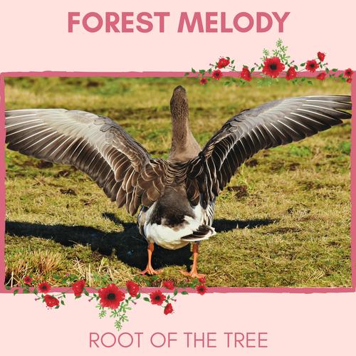 Forest Melody - Root of The Tree