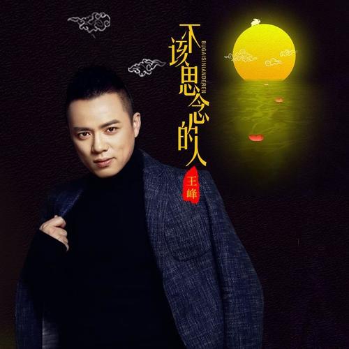 不该思念的人 - 王峰